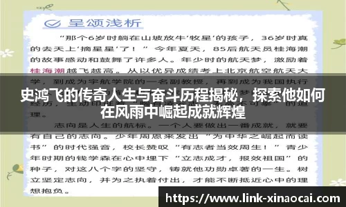 史鸿飞的传奇人生与奋斗历程揭秘,探索他如何在风雨中崛起成就辉煌